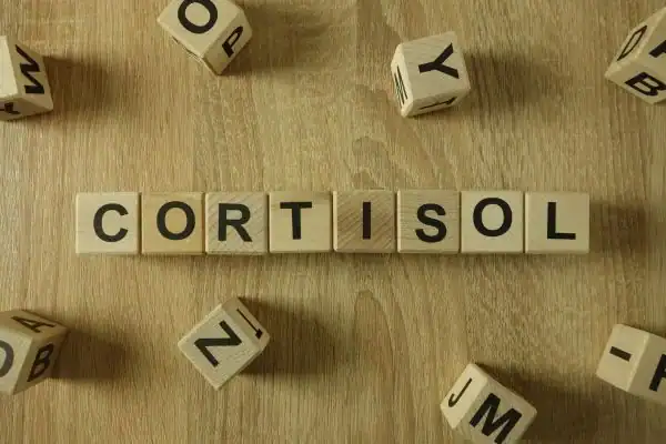 The Hidden Connection: How Stress Shapes Your Fitness and Body Composition 2 Image saying "Cortisol" and how stress Sudbury impacts your wellbeing and bodies shape